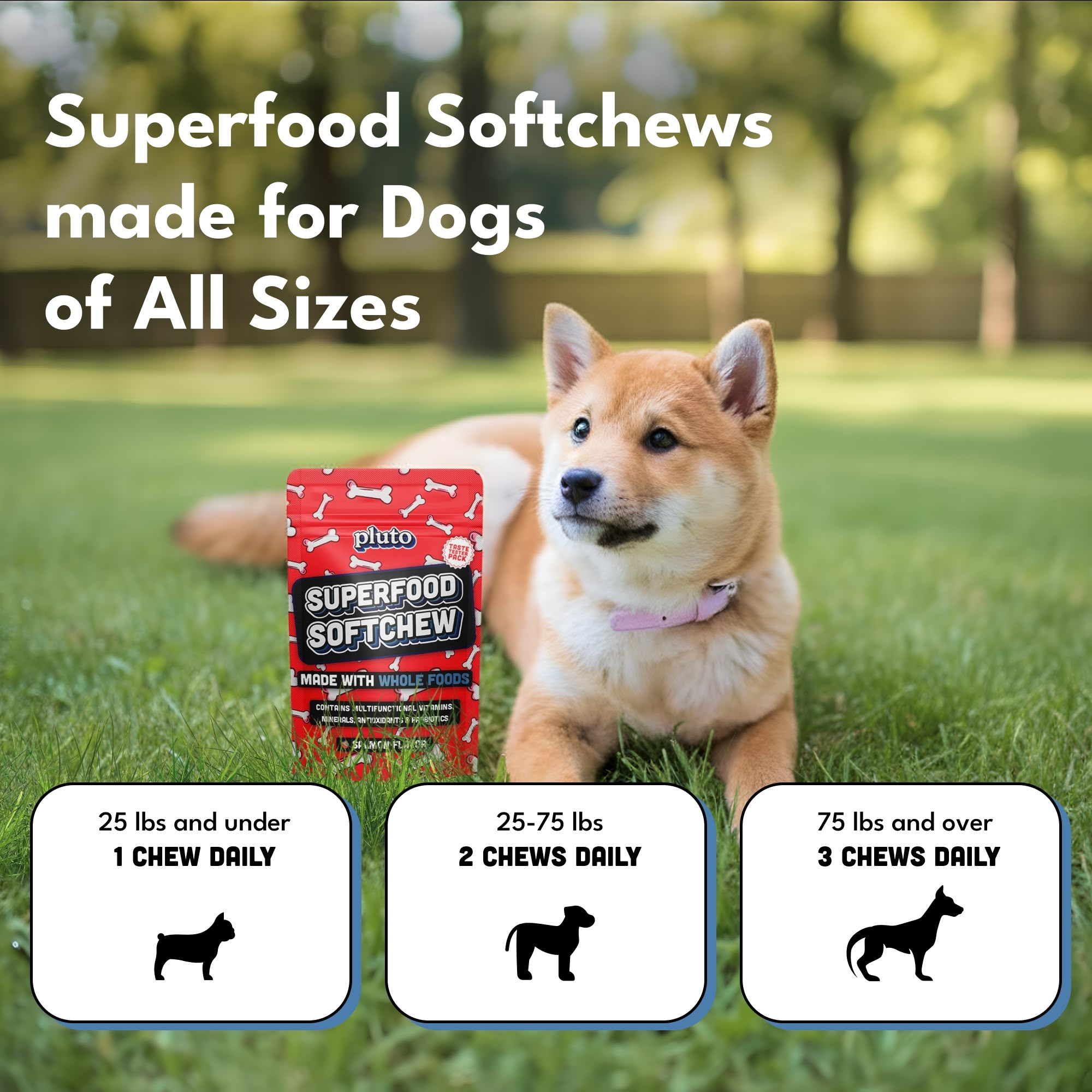 Pluto Superfood Softchews – Trial Offer