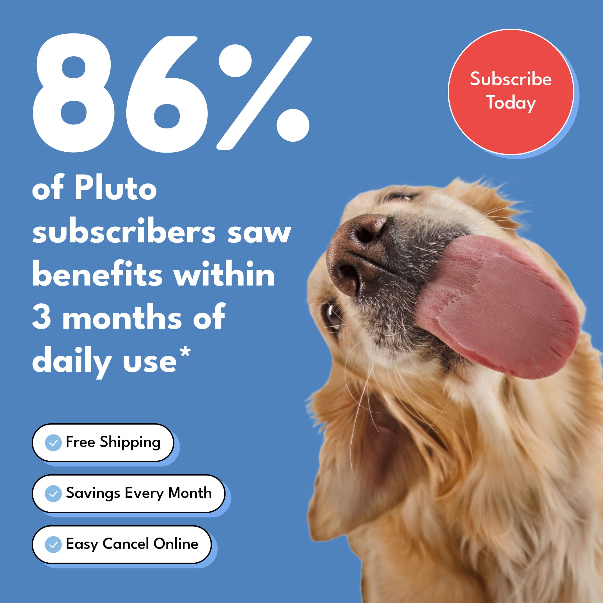 The Daily Wellbeing Peptide Powder That Gives You Your Dog Back