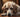 The Link Between Gut Health and Joint Pain in Dogs