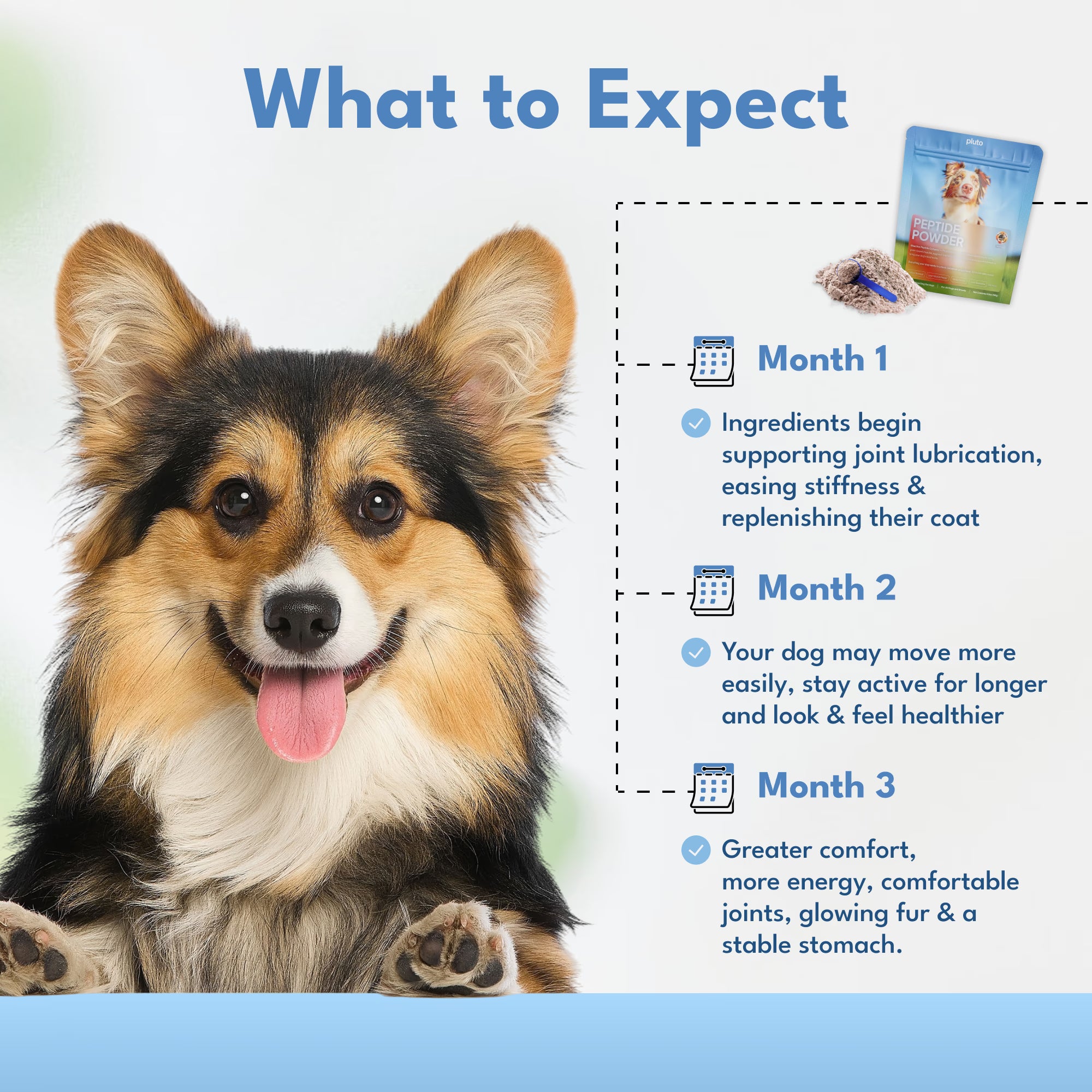 The Daily Wellbeing Peptide Powder That Gives You Your Dog Back