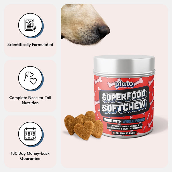 Superfood Softchew - Pluto - Superfood Multivitamin For Dogs