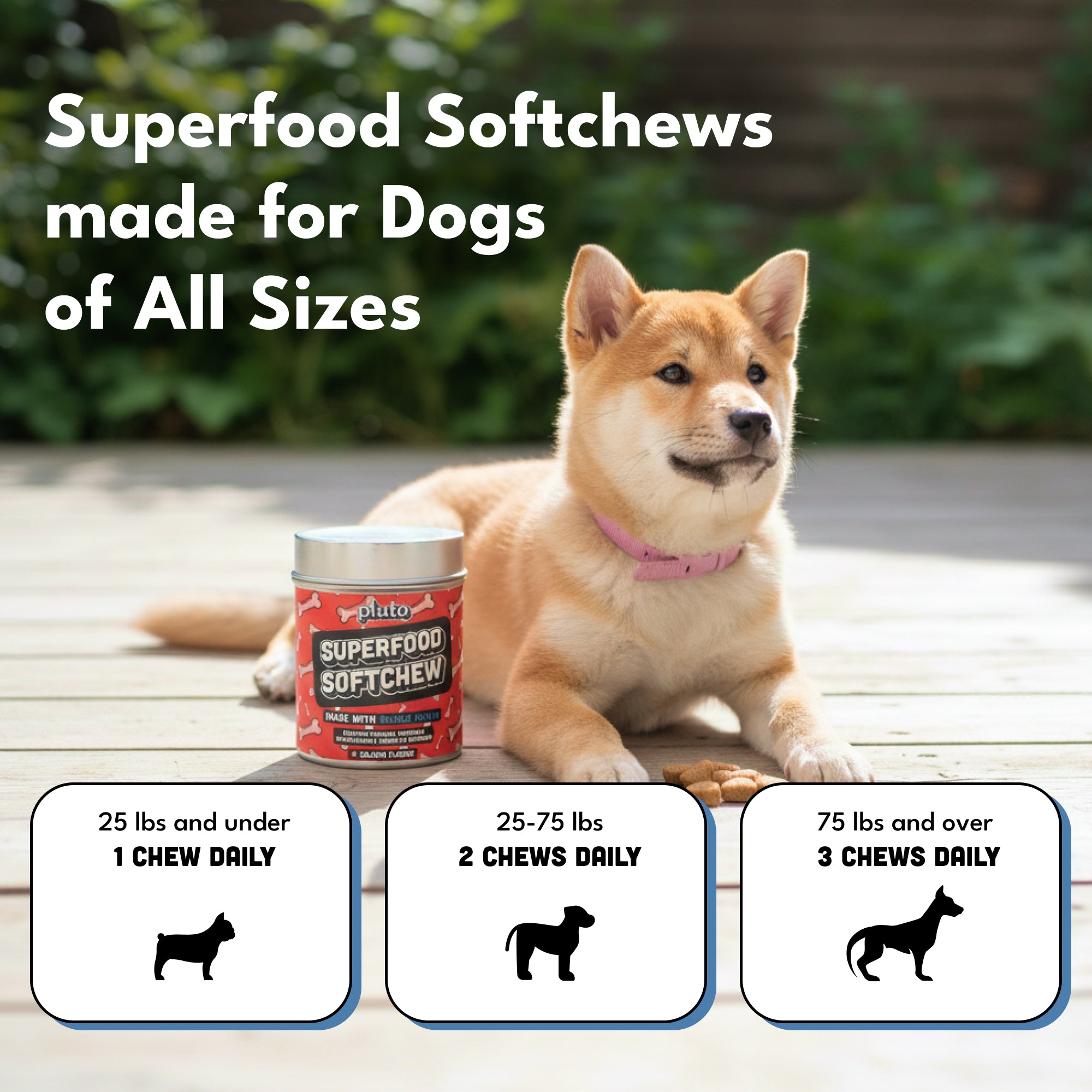 Superfood Softchews (50% OFF)
