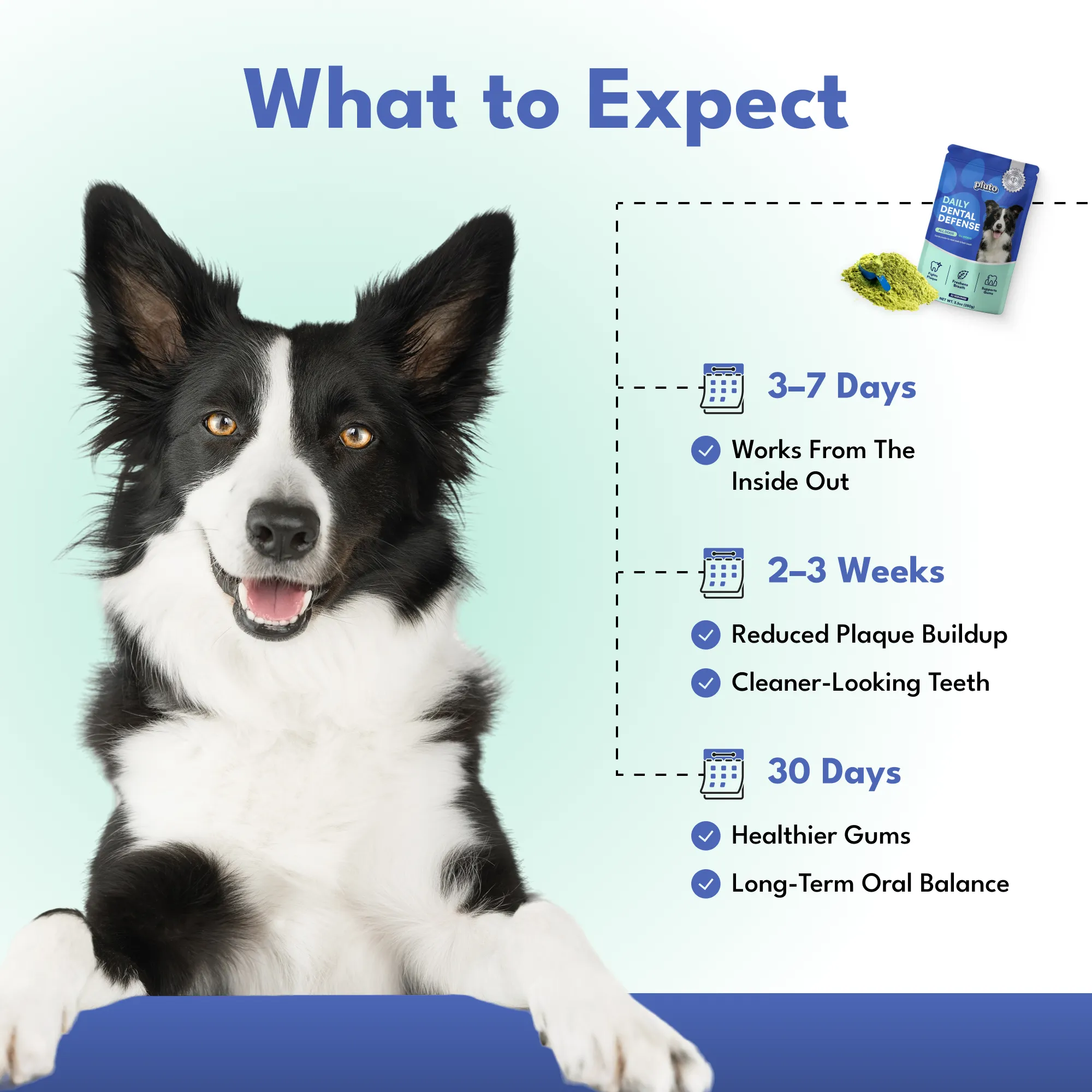Dental Defense – Oral Microbiome Restoration for Dogs