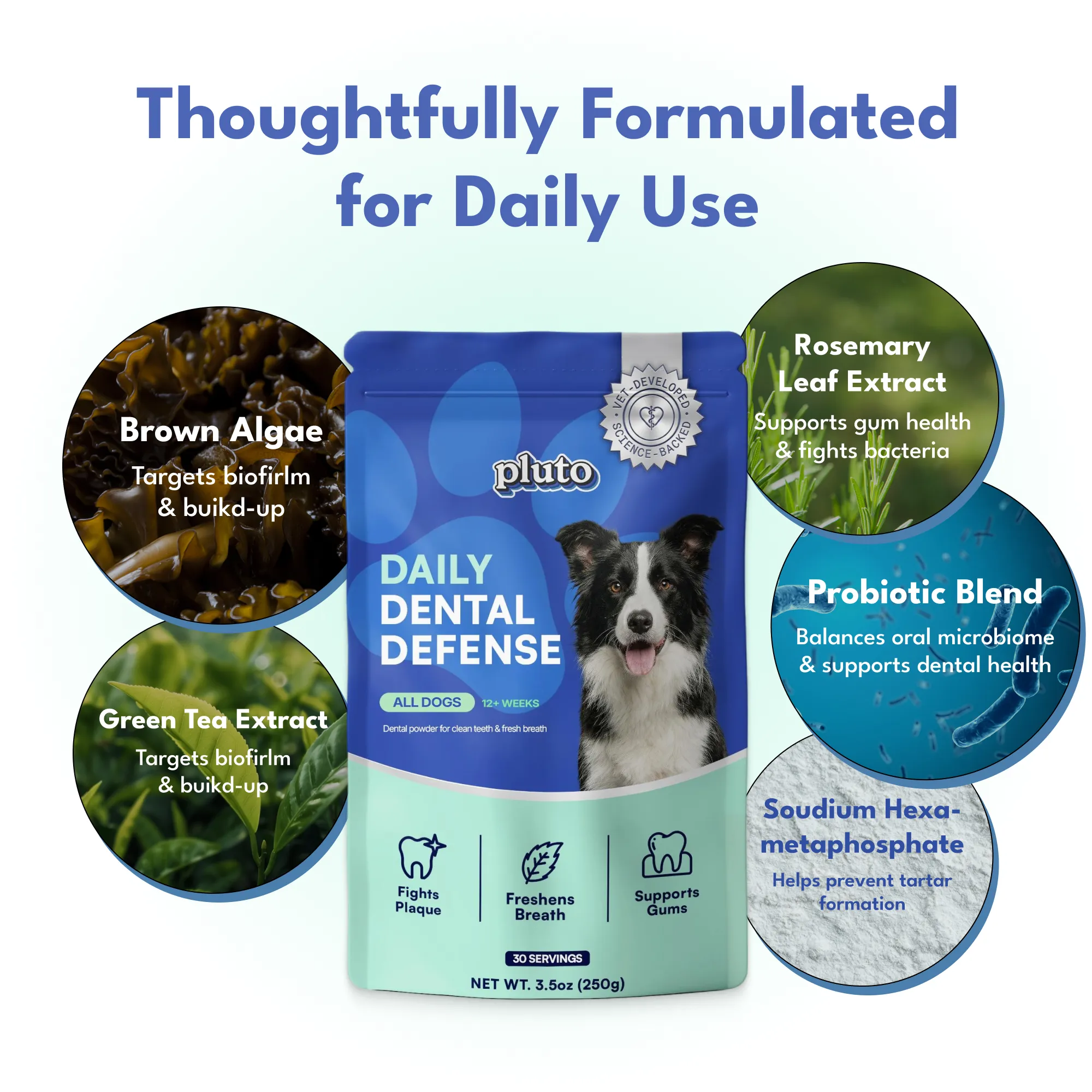 Dental Defense – Oral Microbiome Restoration for Dogs